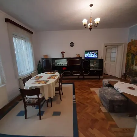 Apartment Alex-gabriel Sibiu